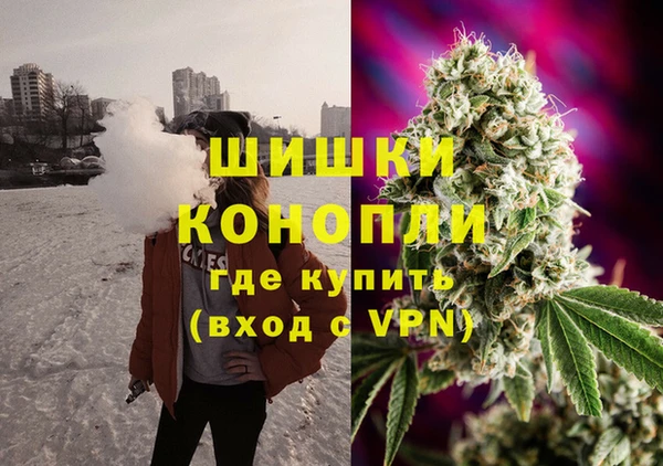 гидра Алексин