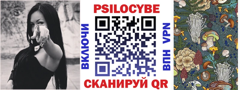 Галлюциногенные грибы Psilocybine cubensis  продажа наркотиков  блэк спрут вход  Ачинск 